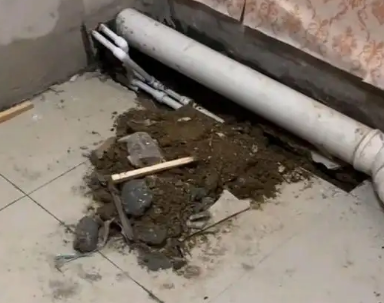 青龙卫生间漏水检测哪家好